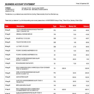 AB organization checking account statement Word and PDF template download template file