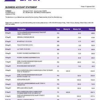 Credins enterprise account statement Word and PDF template download template file