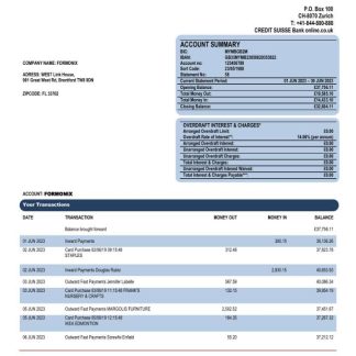Credit Suisse Bank corporate account statement Word and PDF template download template file