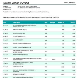 Credite Agricole company checking account statement Word and PDF template download template file