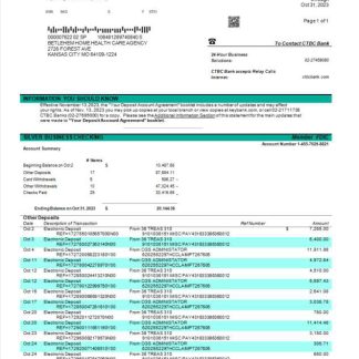 CTBC Bank company statement Word and PDF template download template file