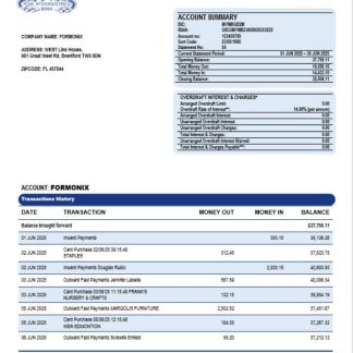Da Afghan Bank (DAB) firm account statement Word and PDF template download template file