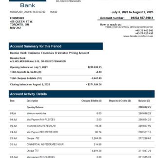 Danske Bank enterprise statement Word and PDF template download template file