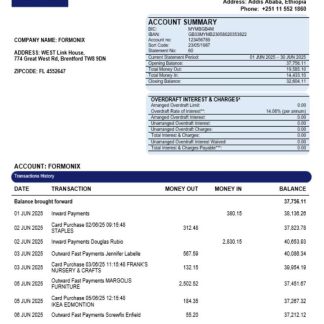 Dashen bank company statement Word and PDF format download template file