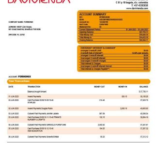 Davivienda Bank company checking account statement Word and PDF template download template file