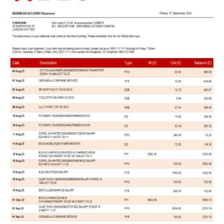 DBS Bank organization checking account statement Word and PDF template download template file