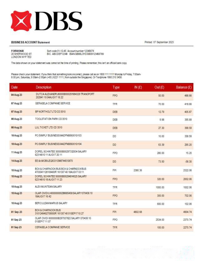 DBS Bank organization checking account statement Word and PDF template download template file