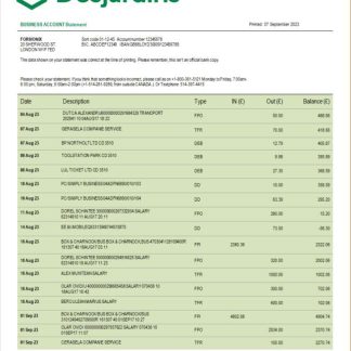 Desjardins Bank corporate checking account statement Word and PDF template download template file