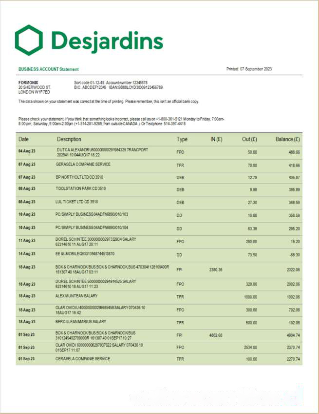 Desjardins Bank corporate checking account statement Word and PDF template download template file