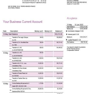 Algeria Natixis Algerie bank proof of address bank statement template in Word and PDF format download template file