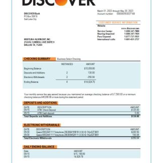 Discover Bank business statement Word and PDF template download template file