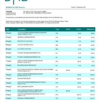DNB Bank firm account statement Word and PDF template download template file