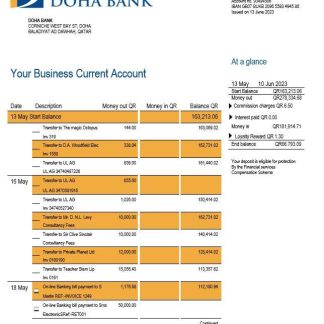 Doha Bank organization checking account statement Word and PDF template download template file