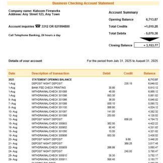 Druk PNB bank firm account statement Word and PDF template download template file