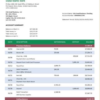 Dubai Islamic Bank enterprise statement Word and PDF template download template file