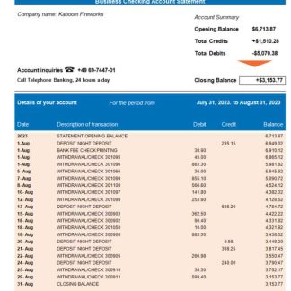 DZ Bank organization statement Word and PDF template download template file