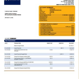 Emirates NBD Bank organization statement Word and PDF template download template file