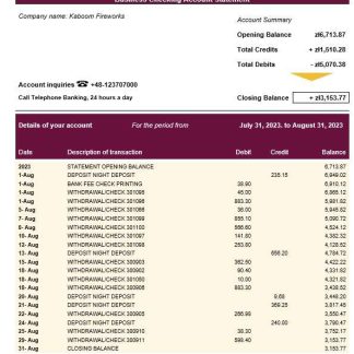 Alior Bank company checking account statement Word and PDF template download template file