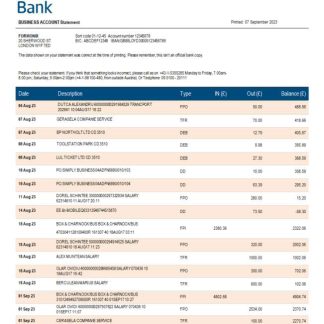 Erste Bank firm checking account statement Word and PDF template download template file