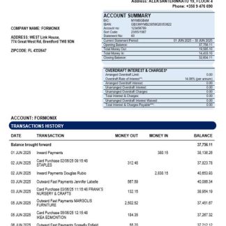Evli Bank PLC enterprise account statement Word and PDF template download template file