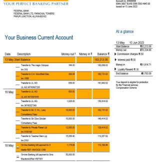 Federal Bank company account statement Word and PDF template download template file