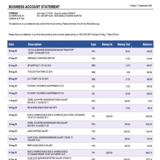 Fibank bank business bank statement Word and PDF format download template file