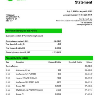 Fidor bank business firm account statement Word snd PDF format download template file