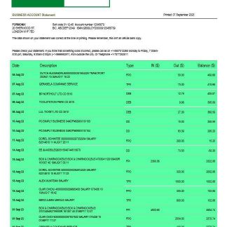 First Bancorp Bank Business statement Word and PDF template download template file