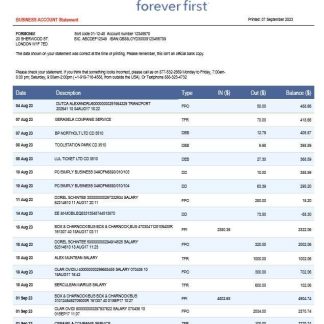 First Citizens Bank business statement Word and PDF template download template file