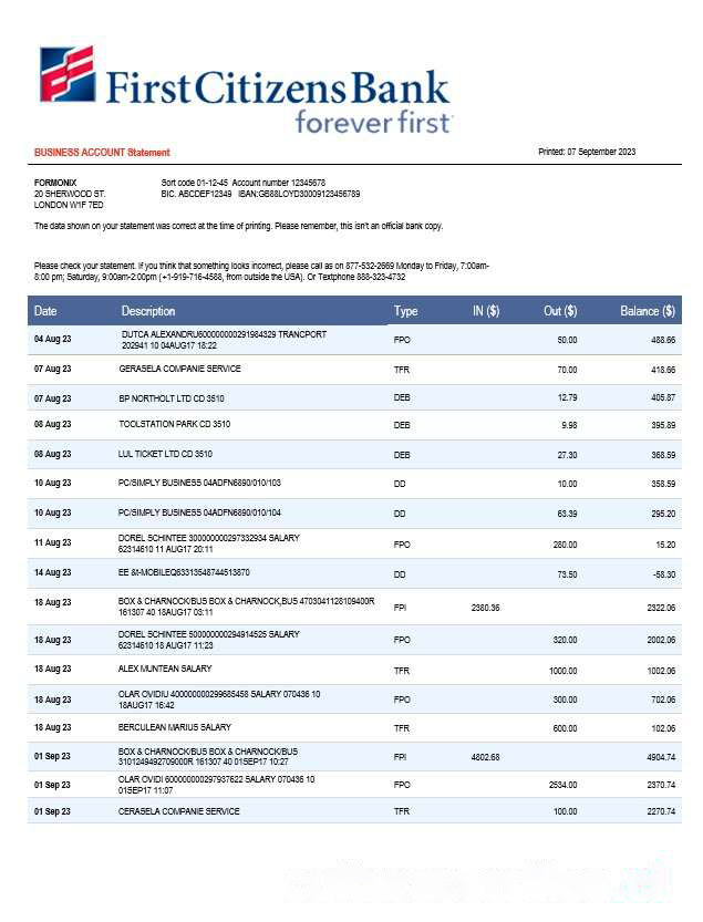 First Citizens Bank business statement Word and PDF template download template file