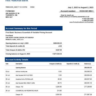 First National Bank firm statement Word and PDF template download template file