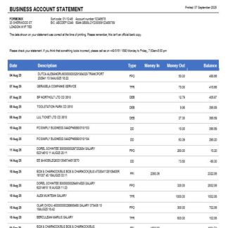 Freisinger Bank account business statement Word and PDF format download template file