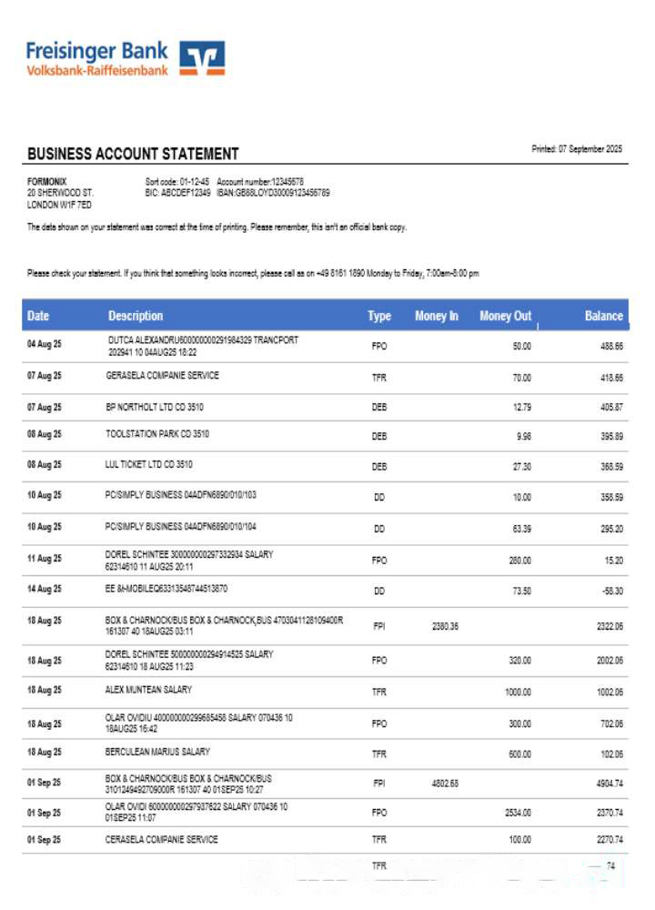 Freisinger Bank account business statement Word and PDF format download template file