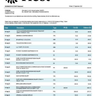 Frost Bankers enterprise account statement Word and PDF template download template file