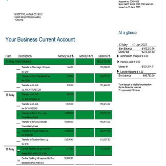 Garanti BBVA Bank enterprise statement Word and PDF template download template file