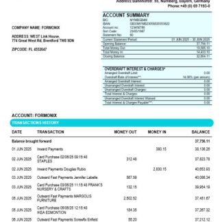 German Consorsbank business organization checking statement Word and PDF format download template file