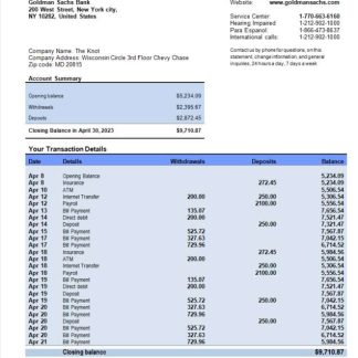 Goldman Sachs bank organization account statement Word and PDF template download template file