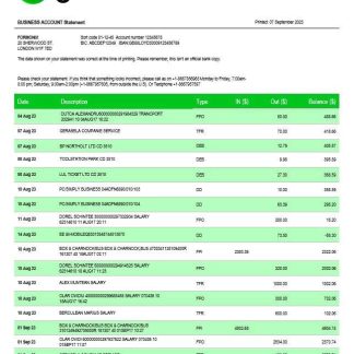 Green Dot Bank business checking account statement Word and PDF template download template file