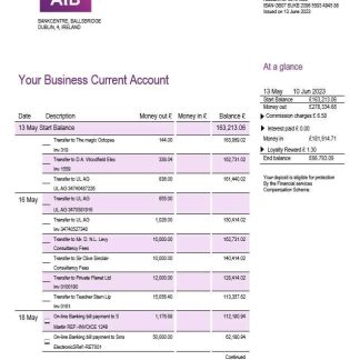 Allied Irish Banks (AIB) enterprise statement Word and PDF template download template file