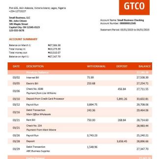 GT Bank organization checking account statement Word and PDF template download template file