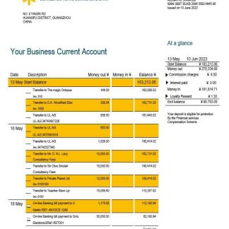 Guangzhou Rural Commercial Bank company statement Word and PDF template download template file