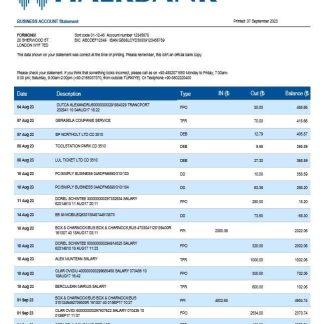 Halkbank business statement Word and PDF template download template file