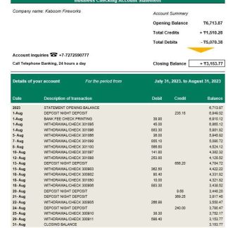Halyk Bank organization account statement Word and PDF template download template file