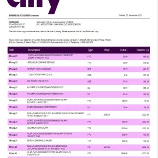 Ally Bank enterprise statement Word and PDF template download template file