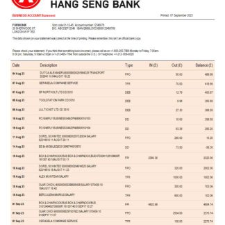 Hang Seng Bank corporate checking account statement Word and PDF template download template file