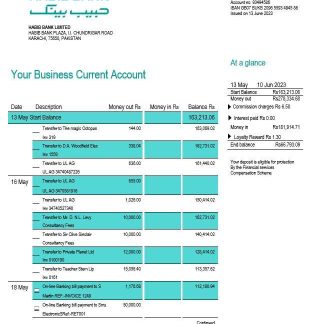 HBL Bank firm account statement Word and PDF template download template file