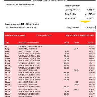 HD Bank company account statement Word and PDF template download template file