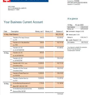 HDFC Bank firm account statement Word and PDF template download template file