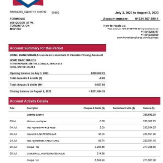 Home Bancshares Bank firm account statement Word and PDF template download template file