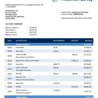 Houlihan Lokey Inc Bank company checking account statement Word and PDF template download template file